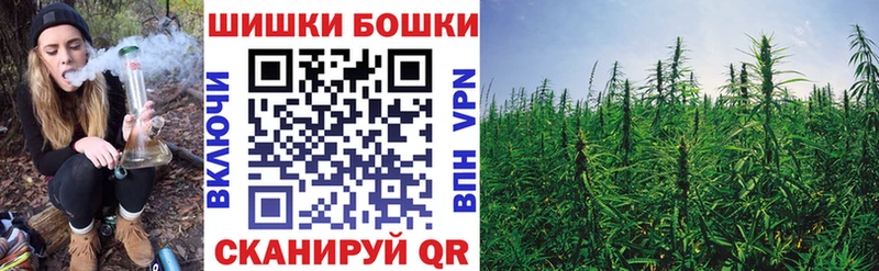 Виды наркотиков купить Удомля Альфа ПВП  Кетамин  ГАШИШ  Мефедрон 