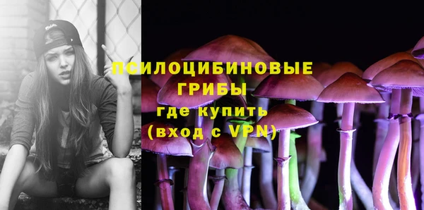 стафф Сосновка