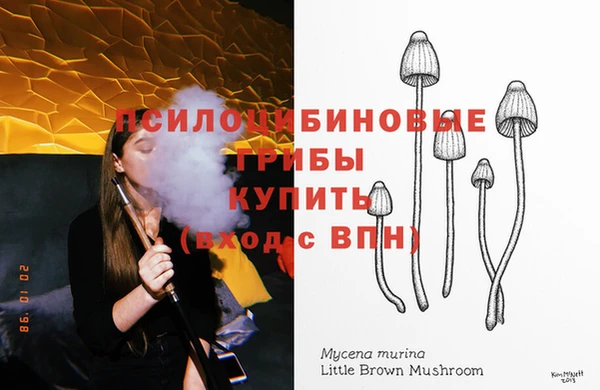 стафф Сосновка