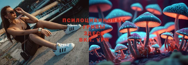 эйфоретик Мостовской