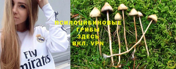 альфа пвп Сосновый Бор