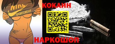 мдпв Камышлов