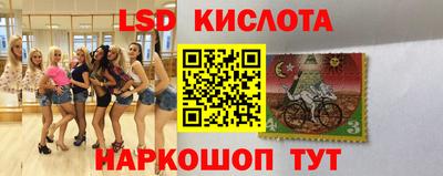 мдпв Камышлов