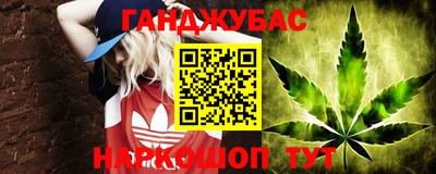 мдпв Камышлов