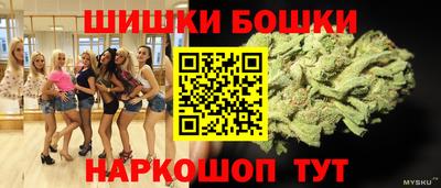 мдпв Камышлов