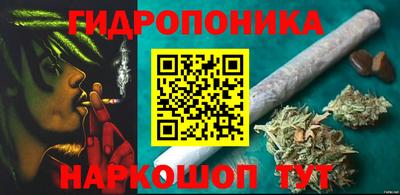 кокс Кандалакша