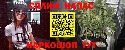 мдпв Камышлов
