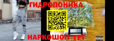 индика Канаш
