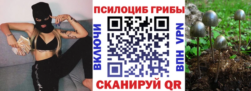 нарко площадка телеграм  гидра зеркало  Псилоцибиновые грибы Psilocybe  Удомля  где купить наркотик 